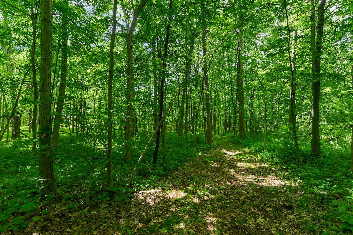 4941 State Rte 37 East Delaware, OH 43015 - Photo 141 of 153 Gallery Image 141