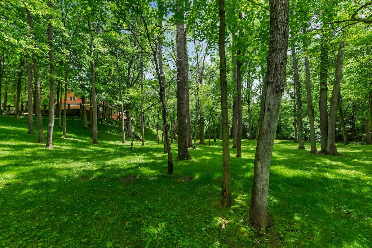 4941 State Rte 37 East Delaware, OH 43015 - Photo 151 of 153 Gallery Image 151