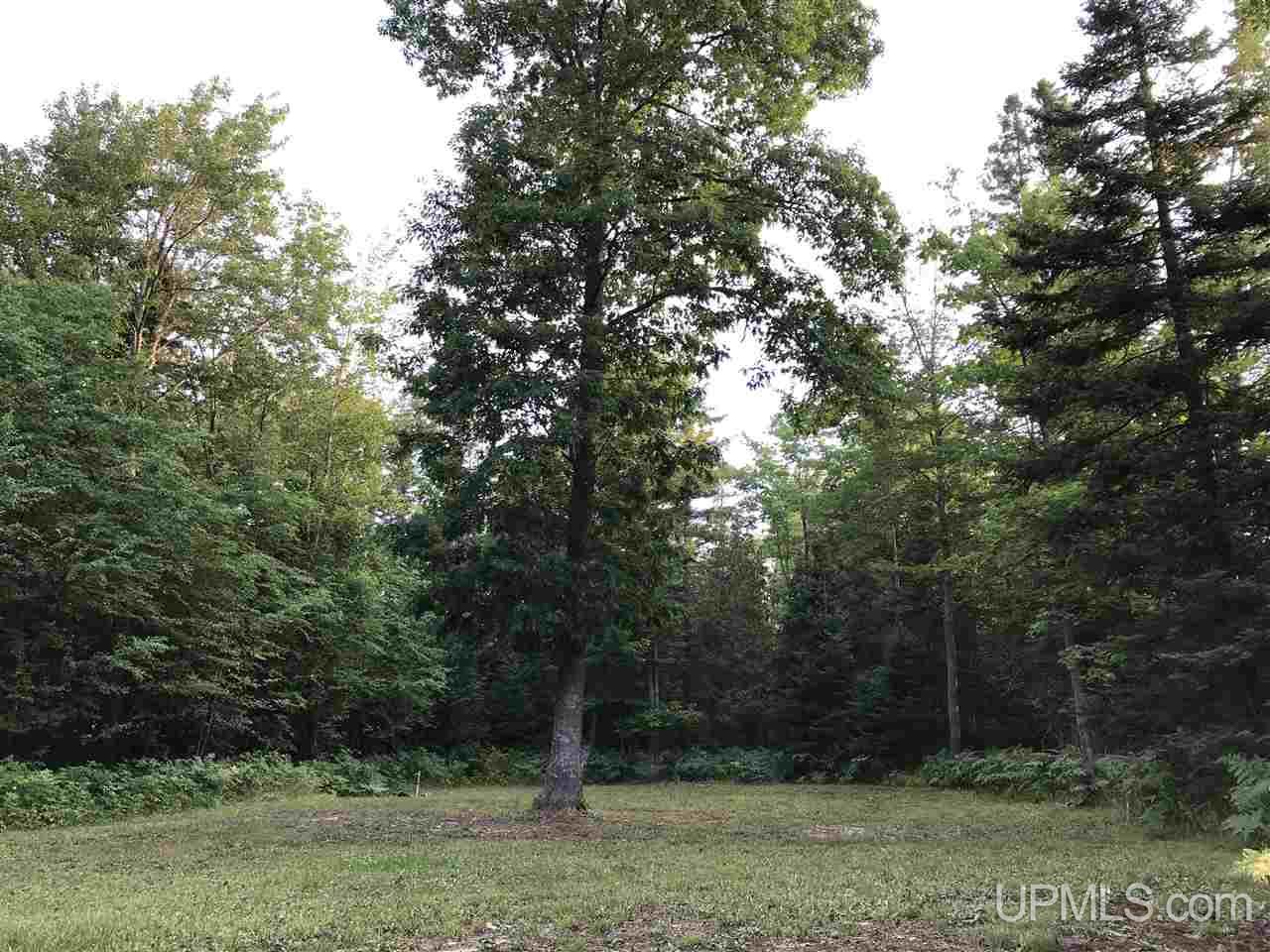 56465 Traprock Valley Road Calumet, MI 49913 - Photo 13 of 20