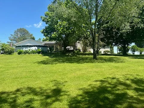 a view of a park with large trees