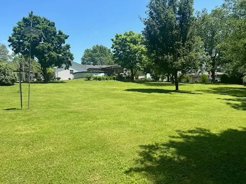 a view of a park with large trees