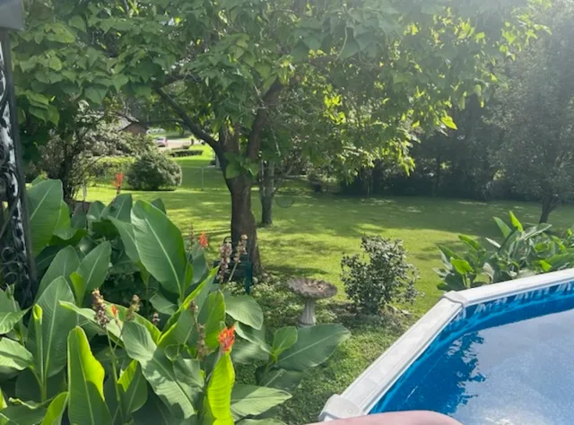a view of a garden from a balcony