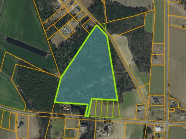 $450,000 | Tbd Joyner Swamp Road, Galivants Ferry, SC 29544