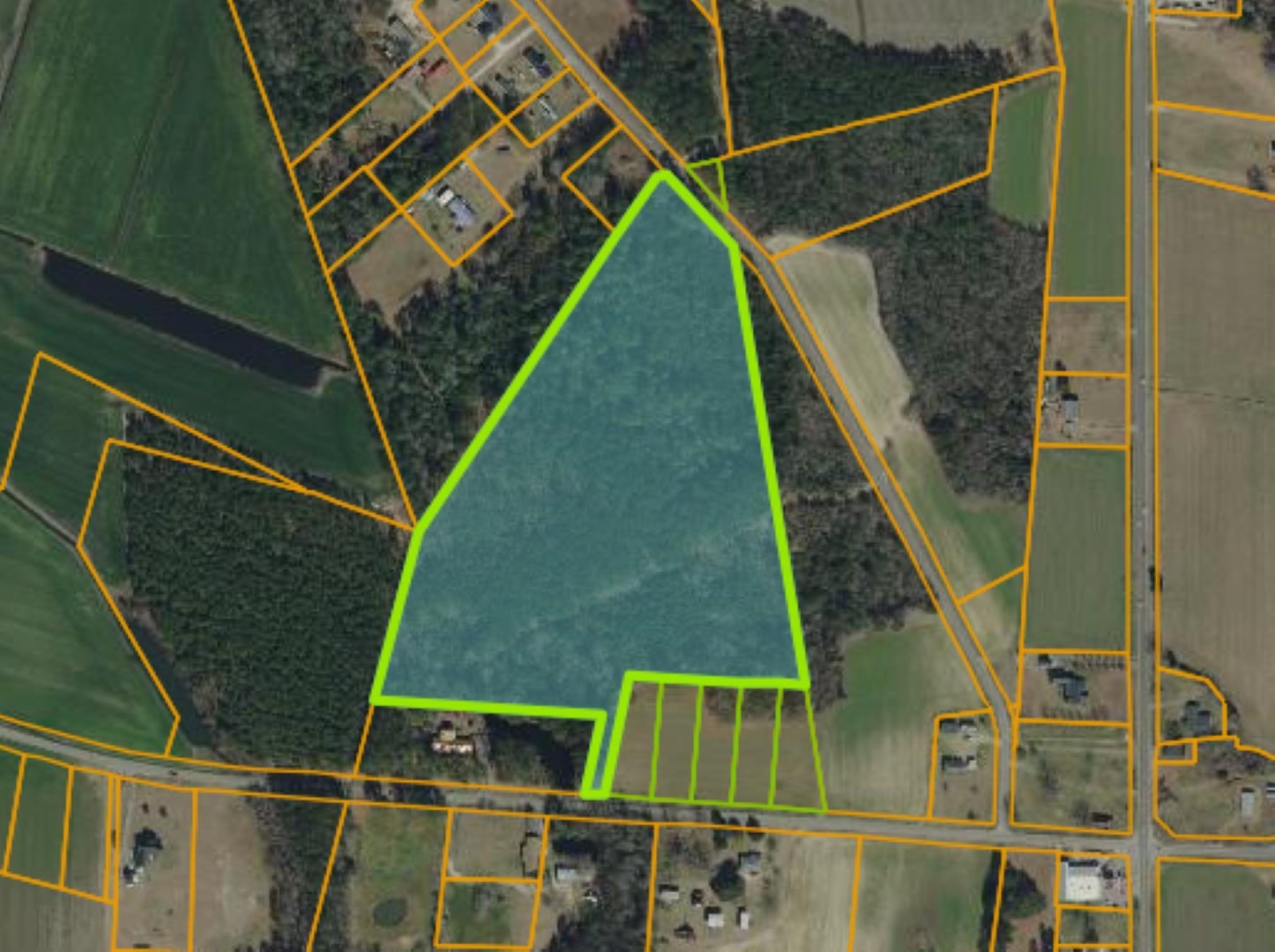 Tbd Joyner Swamp Road Galivants Ferry, SC 29544 - Photo 1 of 2