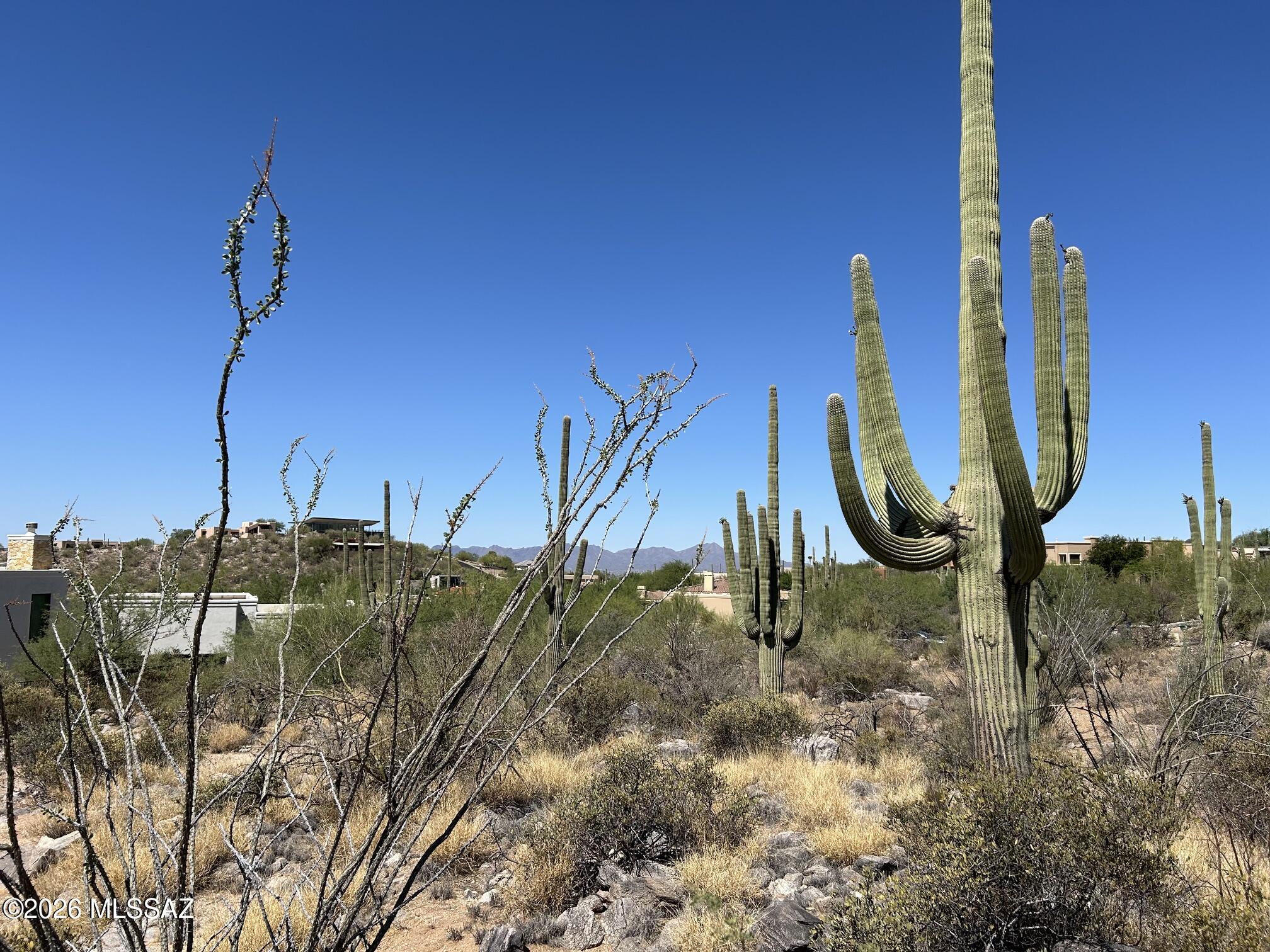 7128 North Mercer Spring Place, Unit 151 Tucson, AZ 85718 - Photo 10 of 13 IMG_7599