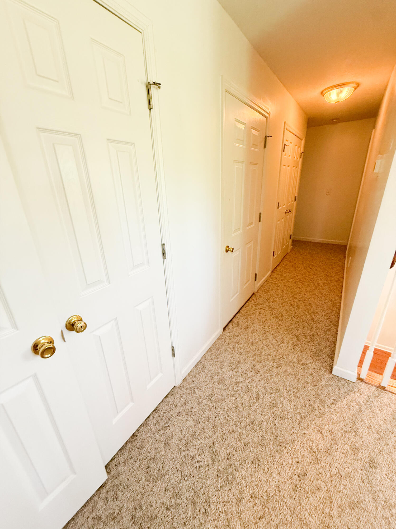 882 Rustic Oak Bend Hephzibah, GA 30815 - Photo 37 of 53 IMG_1398