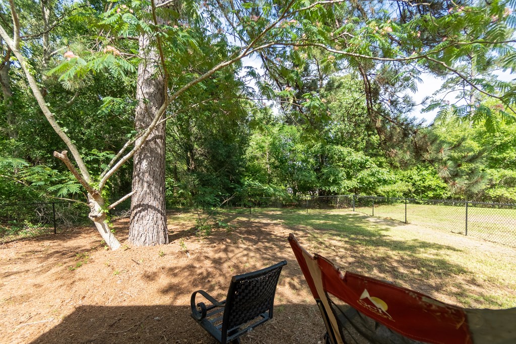 195 Spring Hill Road Dothan, AL 36301 - Photo 65 of 99 Gallery Image 65