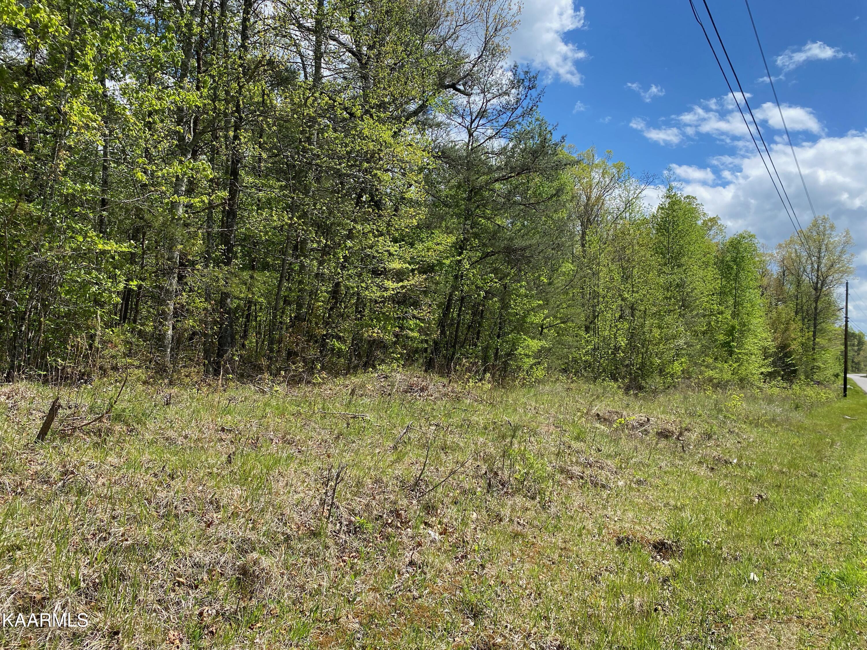 600 Jim Garrett Road Monterey, TN 38574 - Photo 1 of 14 77E3DFC8-8E8F-4343-B03F-9421D7D125A6