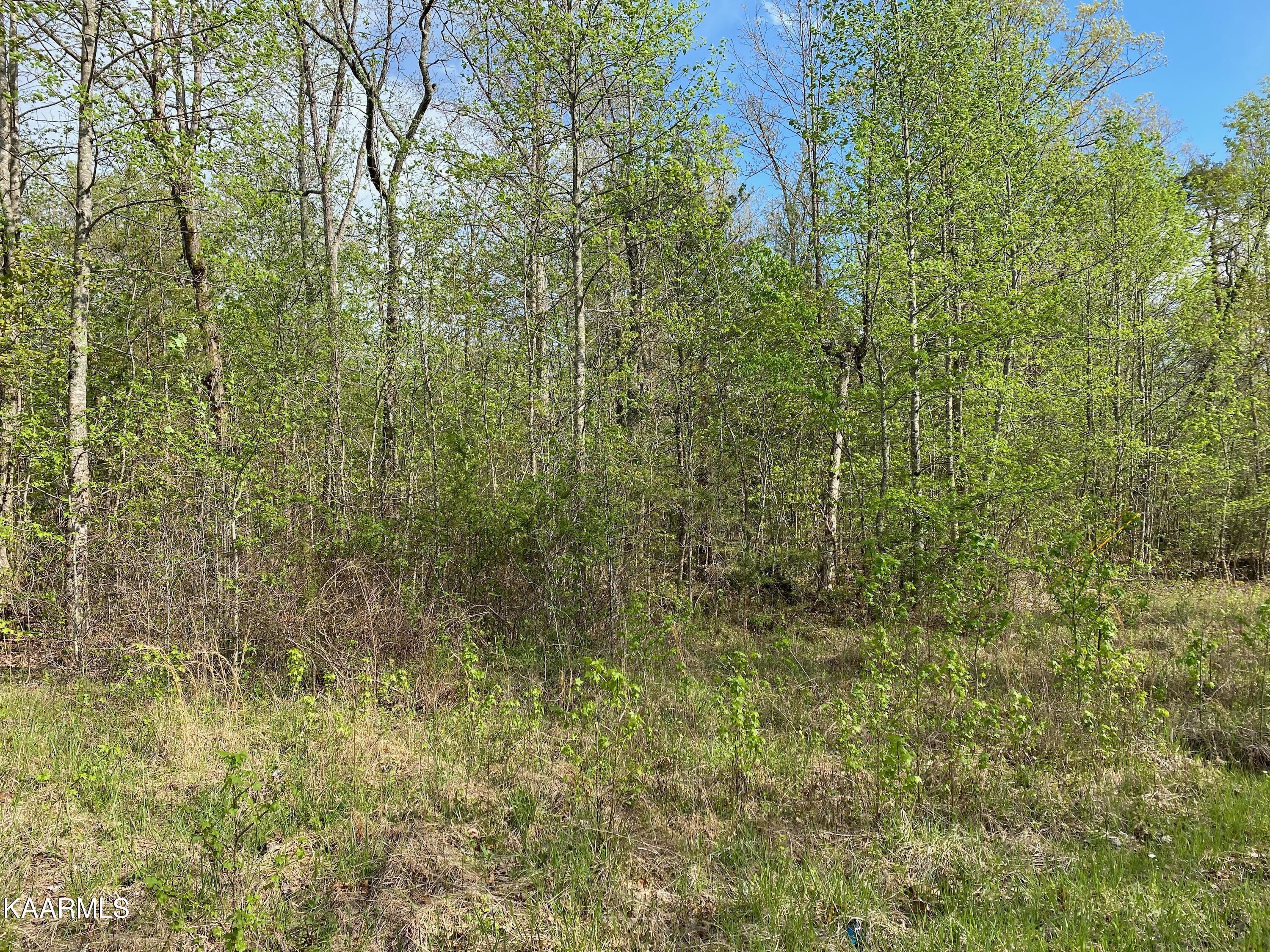 600 Jim Garrett Road Monterey, TN 38574 - Photo 11 of 14 73A0166B-300E-414C-92A3-7BE3C49FB7A5