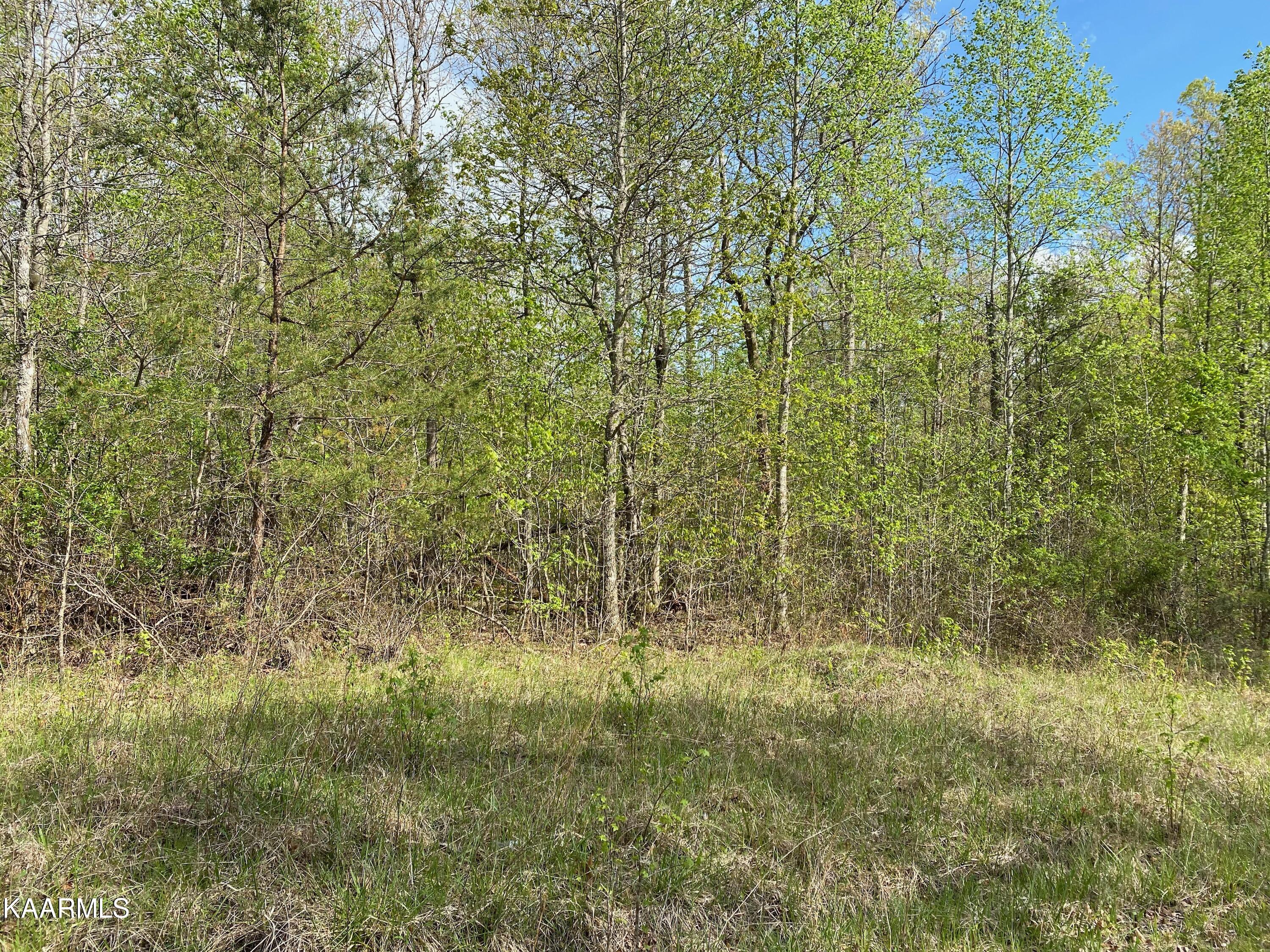 600 Jim Garrett Road Monterey, TN 38574 - Photo 12 of 14 D755E5EA-16B3-4D34-908D-9FA9A7DA07E3