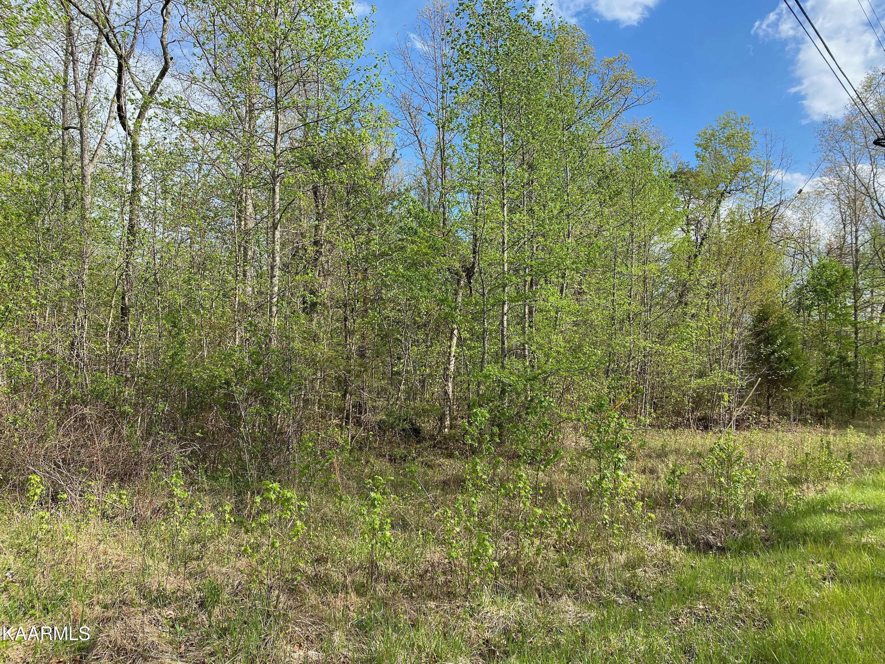 600 Jim Garrett Road Monterey, TN 38574 - Photo 13 of 14 3B58741B-9822-450E-8016-9EB861145BB6