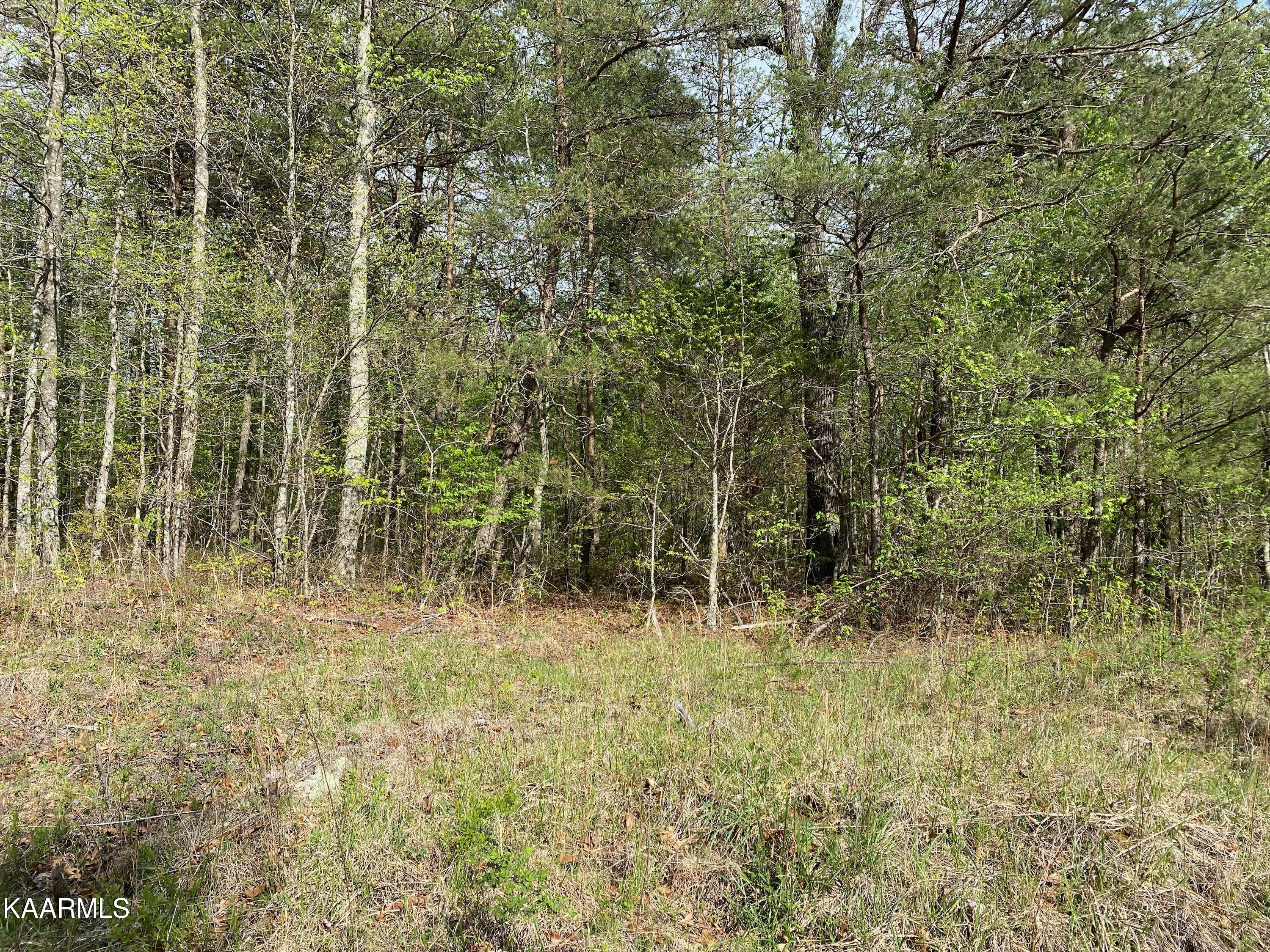 600 Jim Garrett Road Monterey, TN 38574 - Photo 14 of 14 16C6819B-7D08-4747-A5C4-DC7F3F5BBFB9