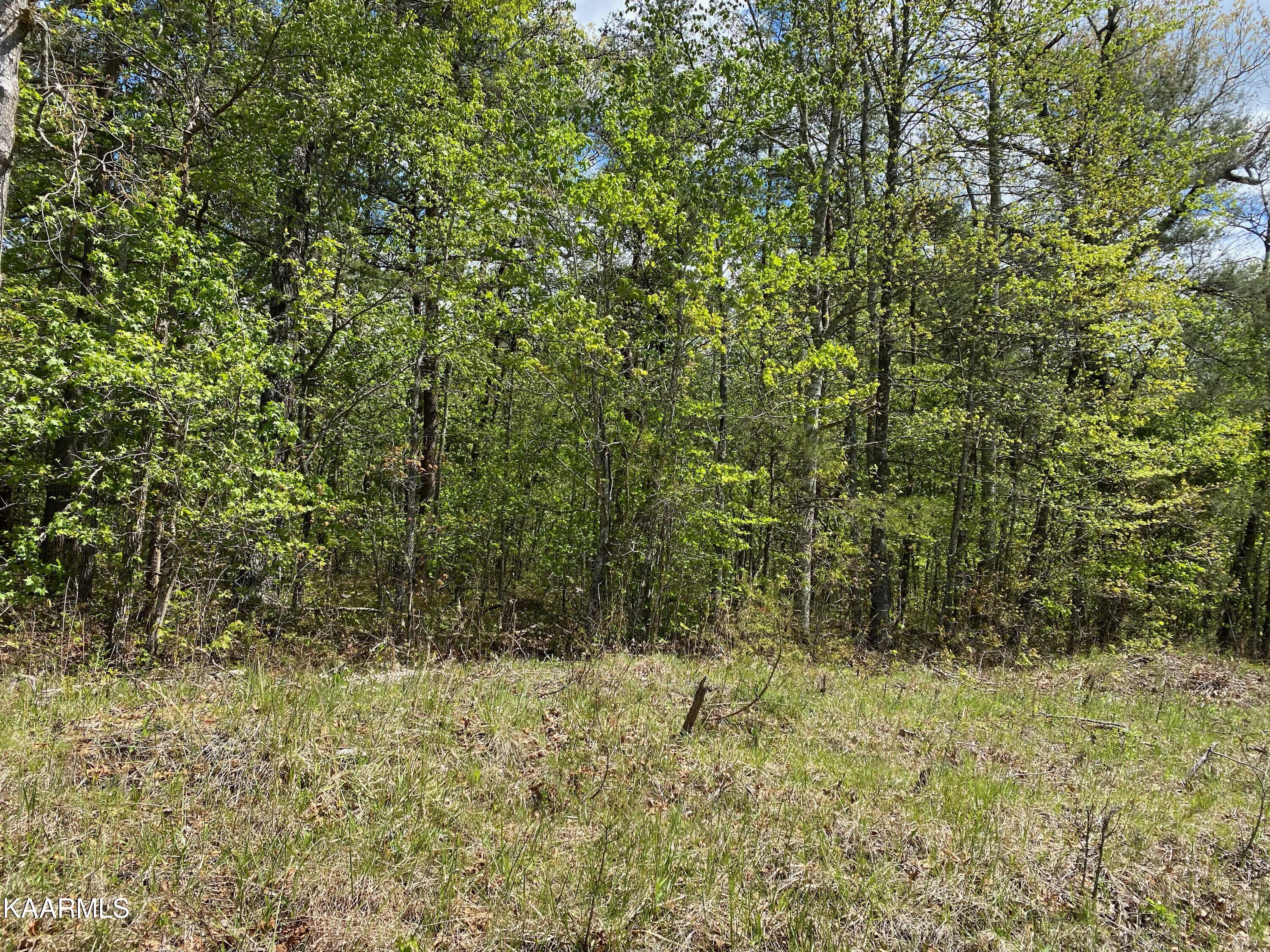 600 Jim Garrett Road Monterey, TN 38574 - Photo 2 of 14 4A5CC57C-BEE9-4FDF-82A1-FDEE71469819