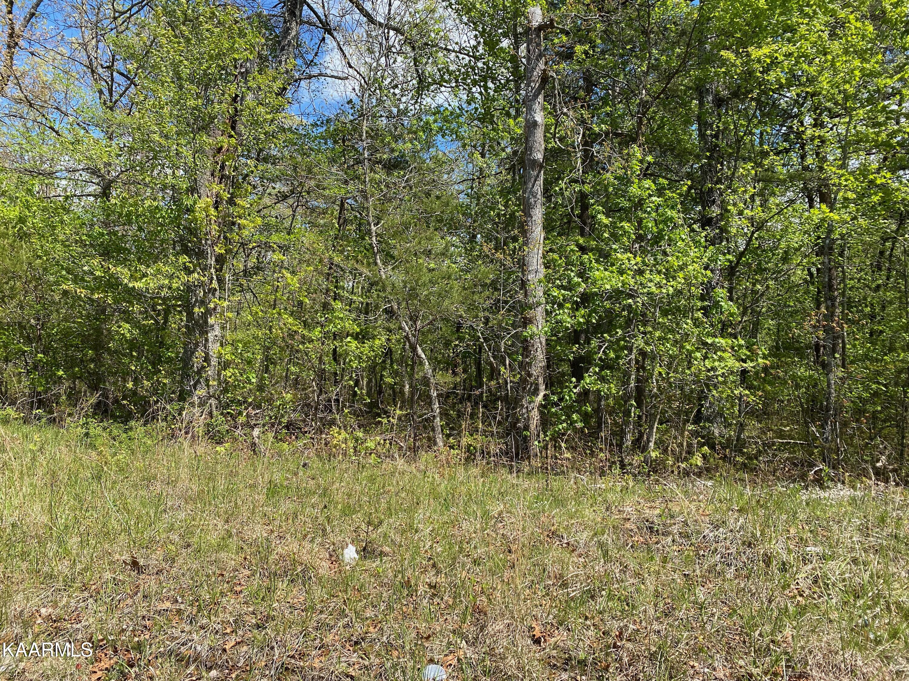 600 Jim Garrett Road Monterey, TN 38574 - Photo 3 of 14 93B86B43-2B82-4C0A-A242-153D4289B374
