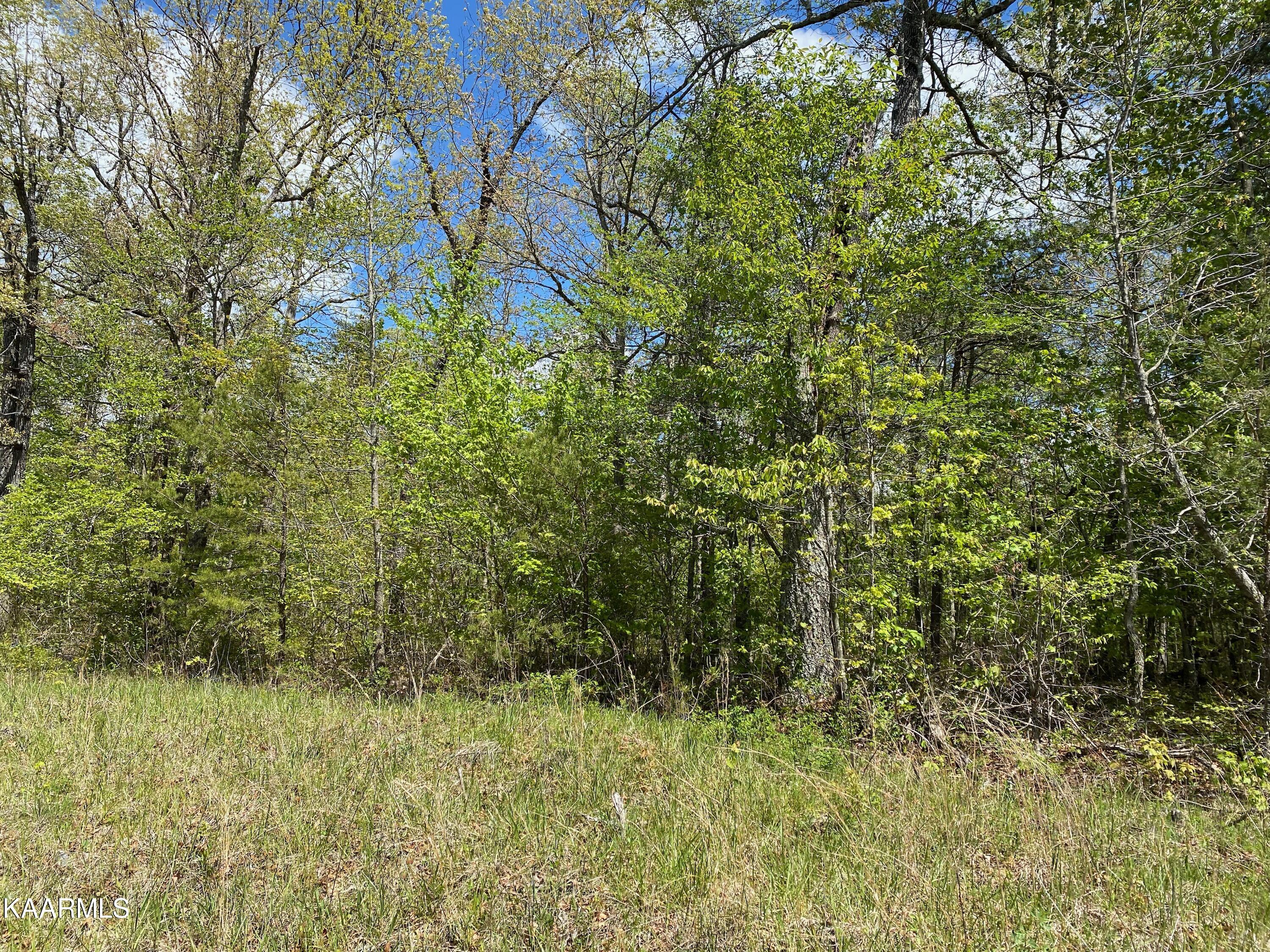 600 Jim Garrett Road Monterey, TN 38574 - Photo 4 of 14 B468F542-4316-4A02-A930-F94D5299963F