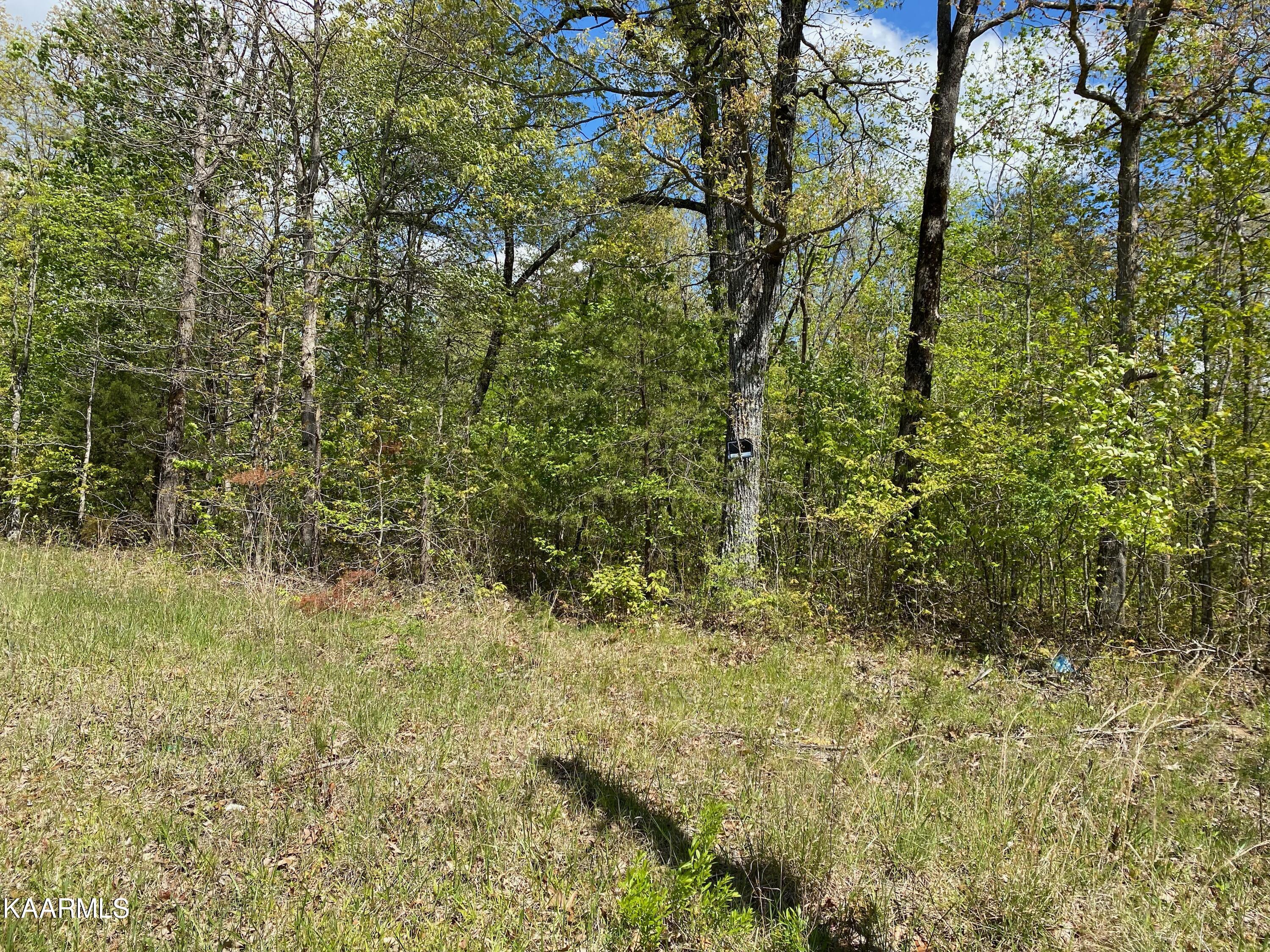 600 Jim Garrett Road Monterey, TN 38574 - Photo 5 of 14 91139948-7C8D-4A0F-9BC6-B87834036390