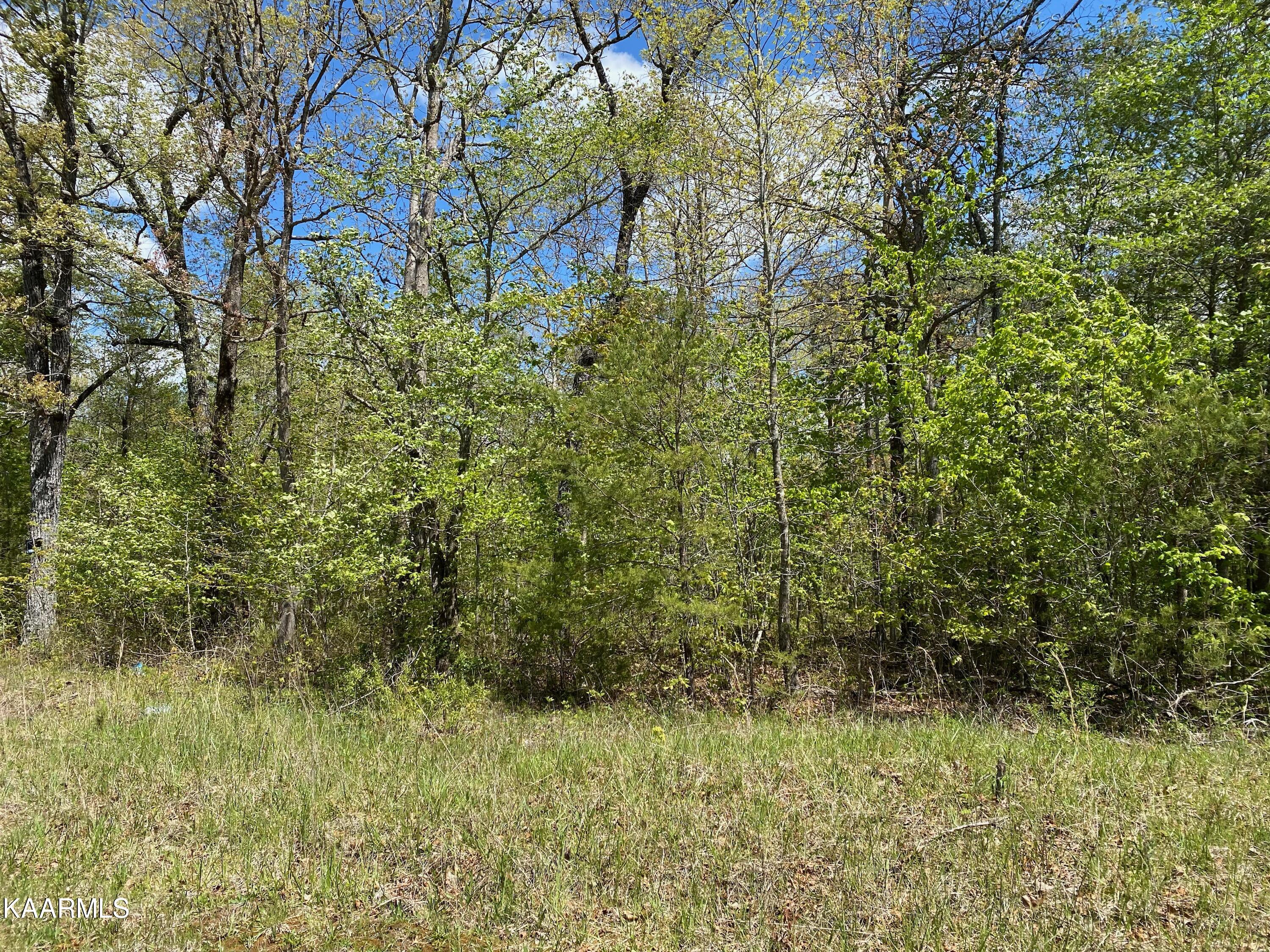 600 Jim Garrett Road Monterey, TN 38574 - Photo 6 of 14 7958425E-6FD1-42B3-A7B0-B7CFC52D68B6