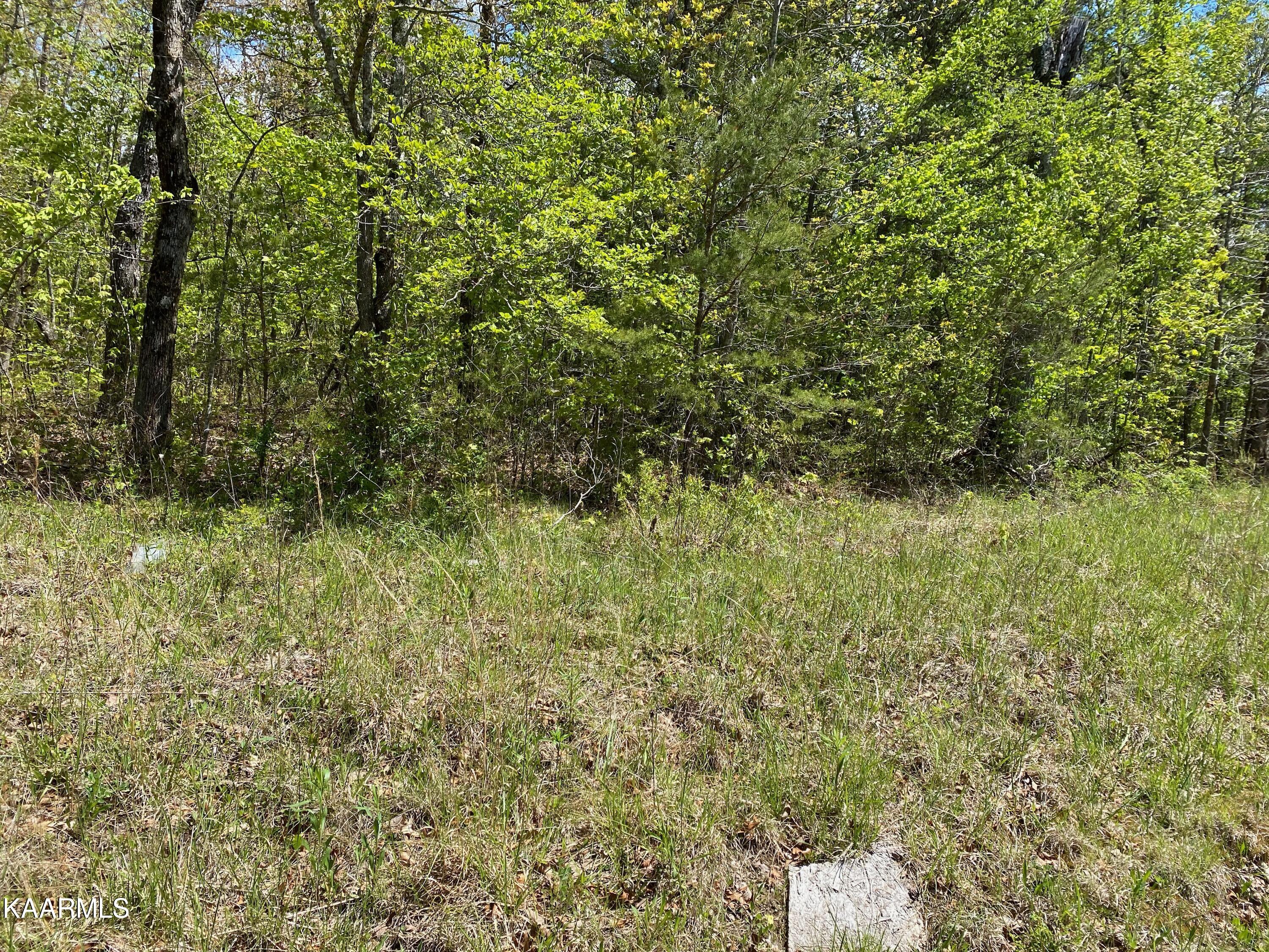 600 Jim Garrett Road Monterey, TN 38574 - Photo 7 of 14 D1FF0DEF-B5B6-4611-B86F-96E75F796C7D