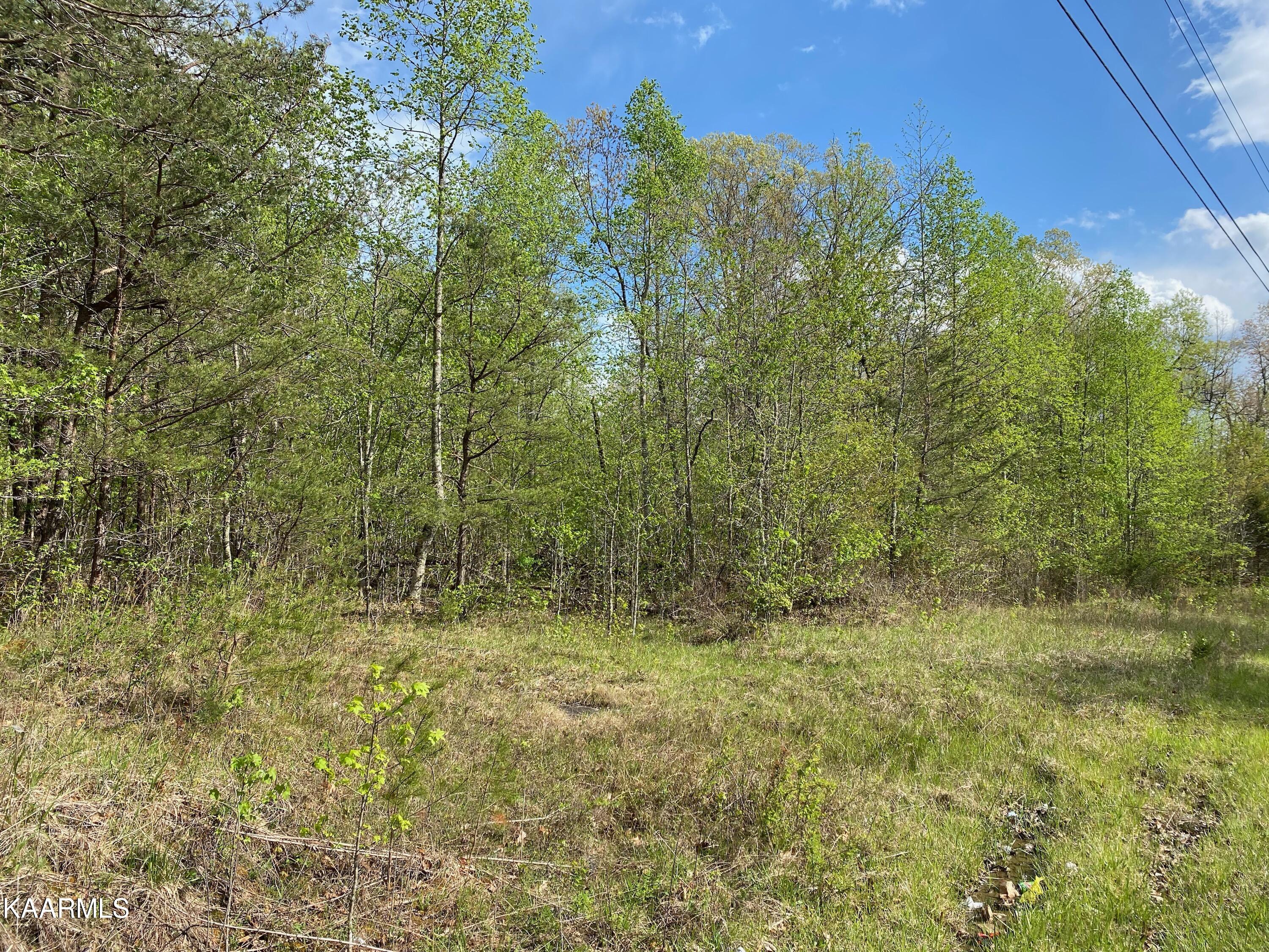 600 Jim Garrett Road Monterey, TN 38574 - Photo 8 of 14 95BD049F-CB0F-4AC2-BD10-3BF3597DFB78