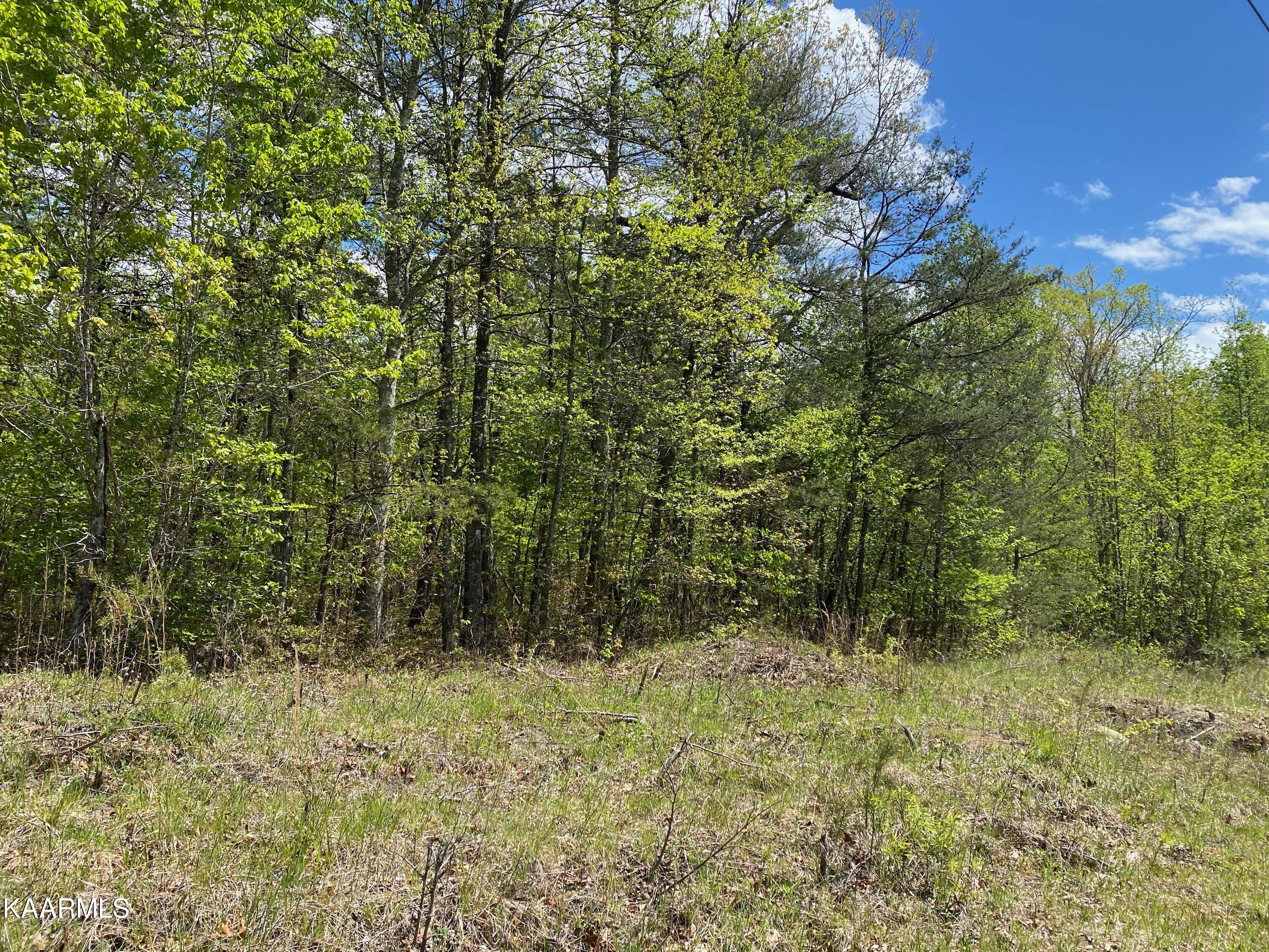 600 Jim Garrett Road Monterey, TN 38574 - Photo 9 of 14 F719E29D-C661-45FC-BA54-E721A37AF85D