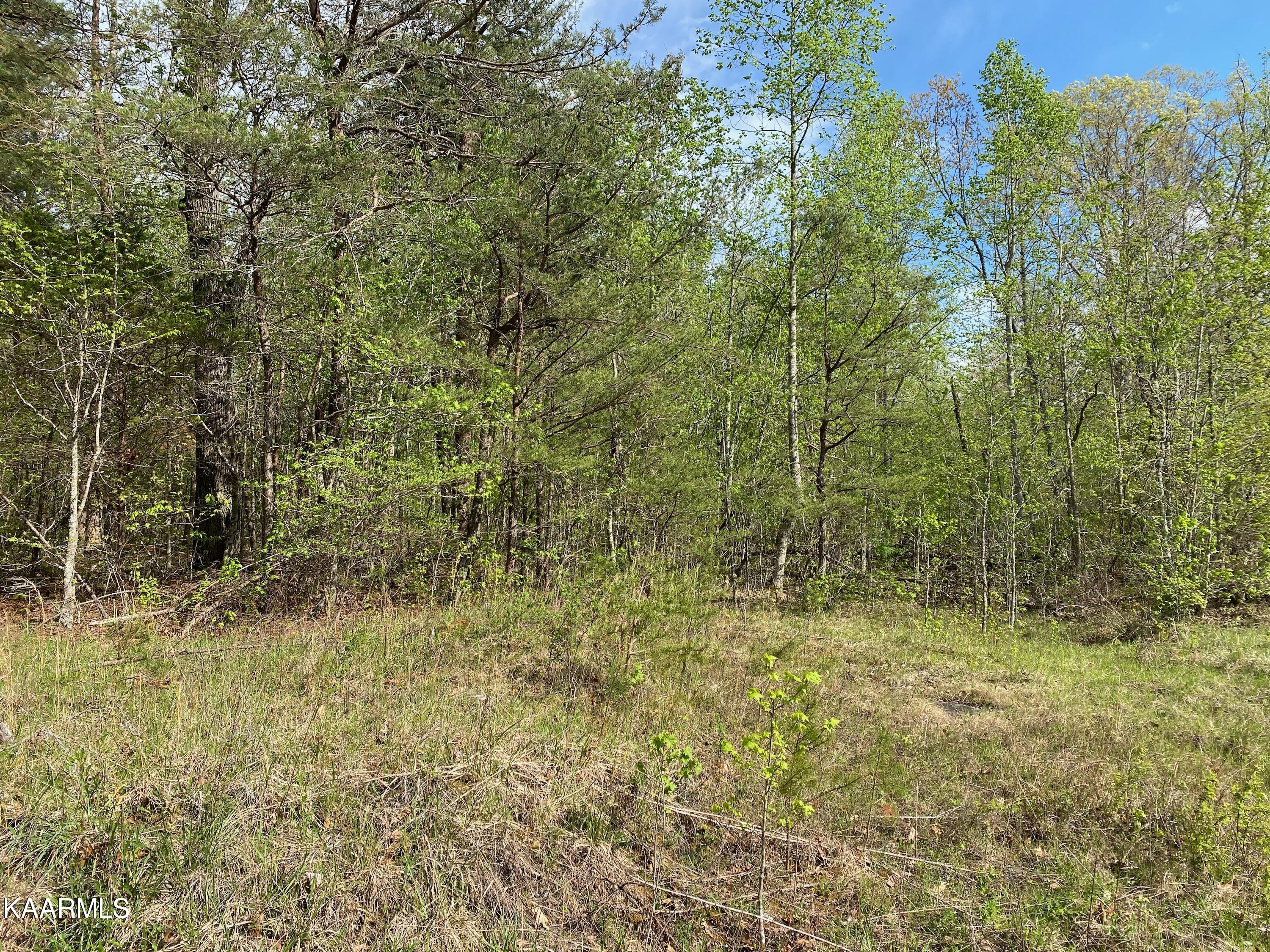 600 Jim Garrett Road Monterey, TN 38574 - Photo 10 of 14 BF1FA6CC-B96B-4AB7-9726-80C3379F7D71