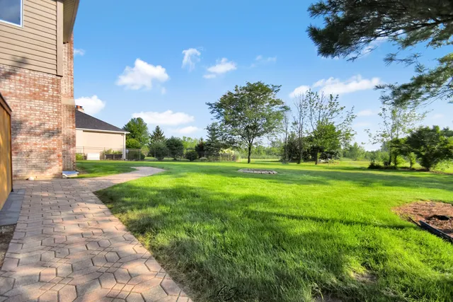 a view of a park with large trees