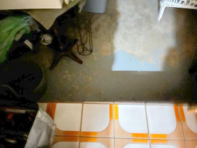 5520 Coach House Circle, Unit A Boca Raton, FL 33486 - Photo 47 of 101 Garage entry from Laundry