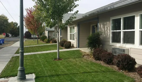 a view of a house with backyard and a tree