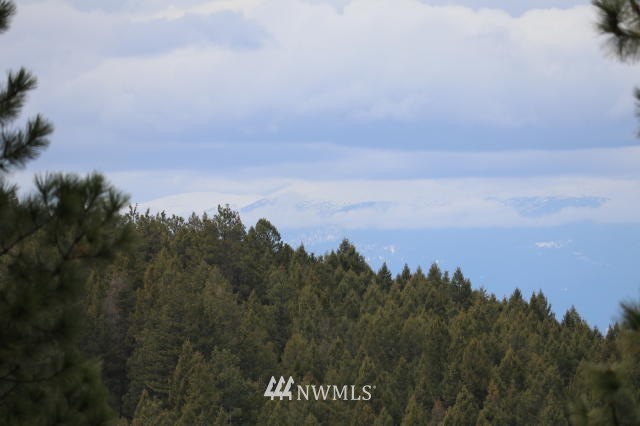 28 Ruger Road Oroville, WA 98844 - Photo 15 of 21 Gallery Image 15