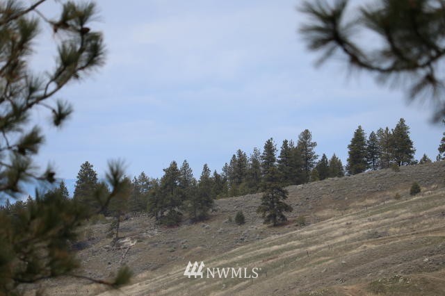 28 Ruger Road Oroville, WA 98844 - Photo 16 of 21 Gallery Image 16