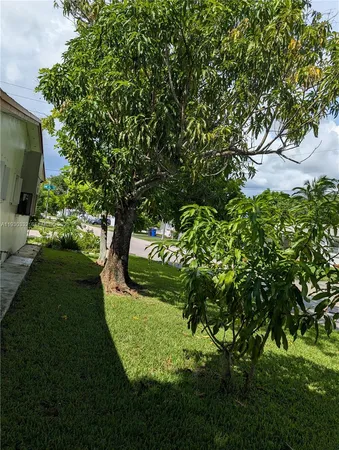 a view of a garden with plants