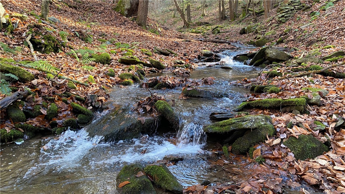 611 Faulkner Road Tompkins, NY 13856 - Photo 44 of 50 Gallery Image 44