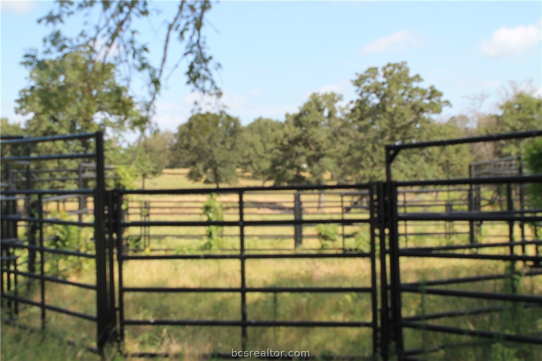 8004 Milam County Road Cameron, TX 76520 - Photo 13 of 30 Working pens