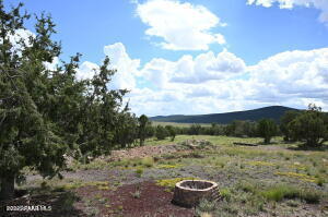 33015 Cowboy Clint Road Seligman, AZ 86337 - Photo 18 of 47 20240826163900893840000000