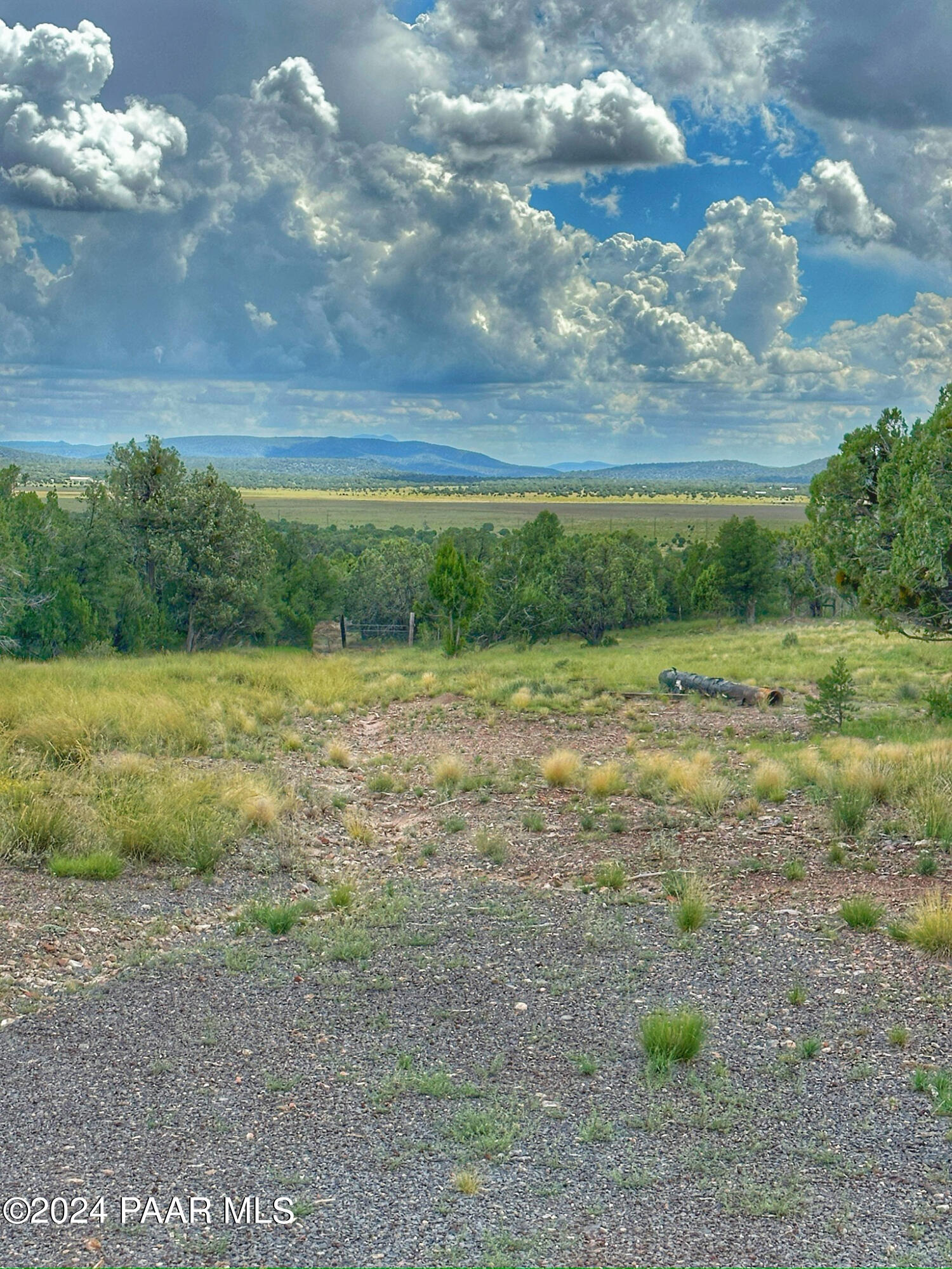 33015 Cowboy Clint Road Seligman, AZ 86337 - Photo 40 of 47 83971