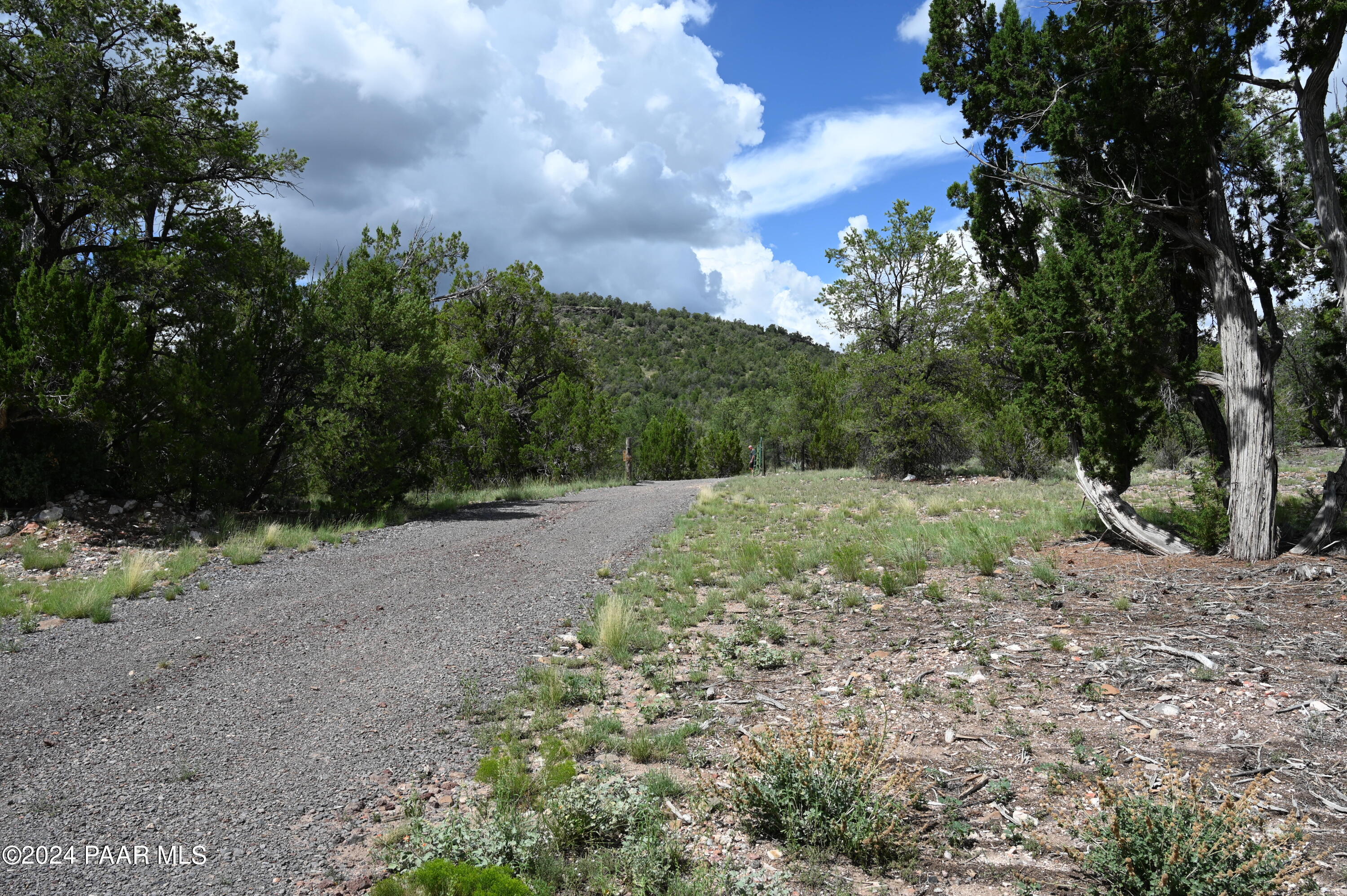 33015 Cowboy Clint Road Seligman, AZ 86337 - Photo 6 of 47 DSC_4206