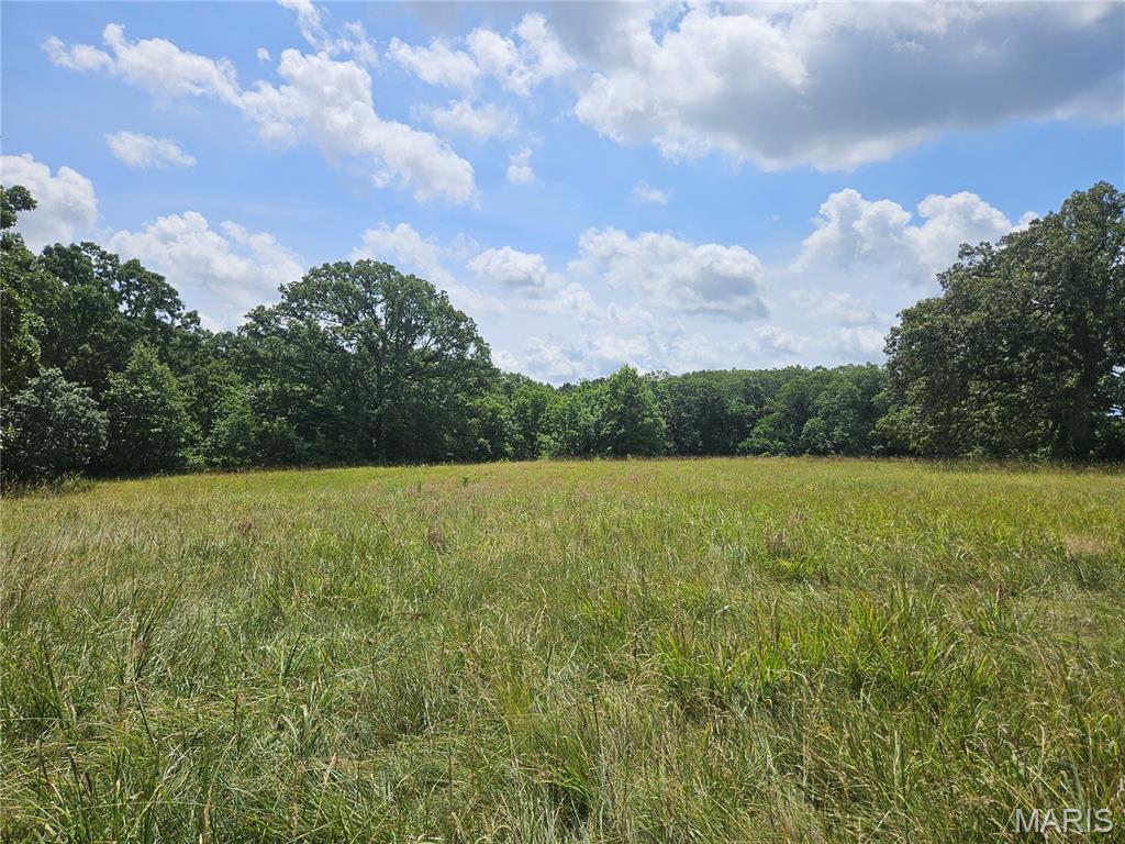 0 Misty Road Pinckneyville, IL 62274 - Photo 9 of 25