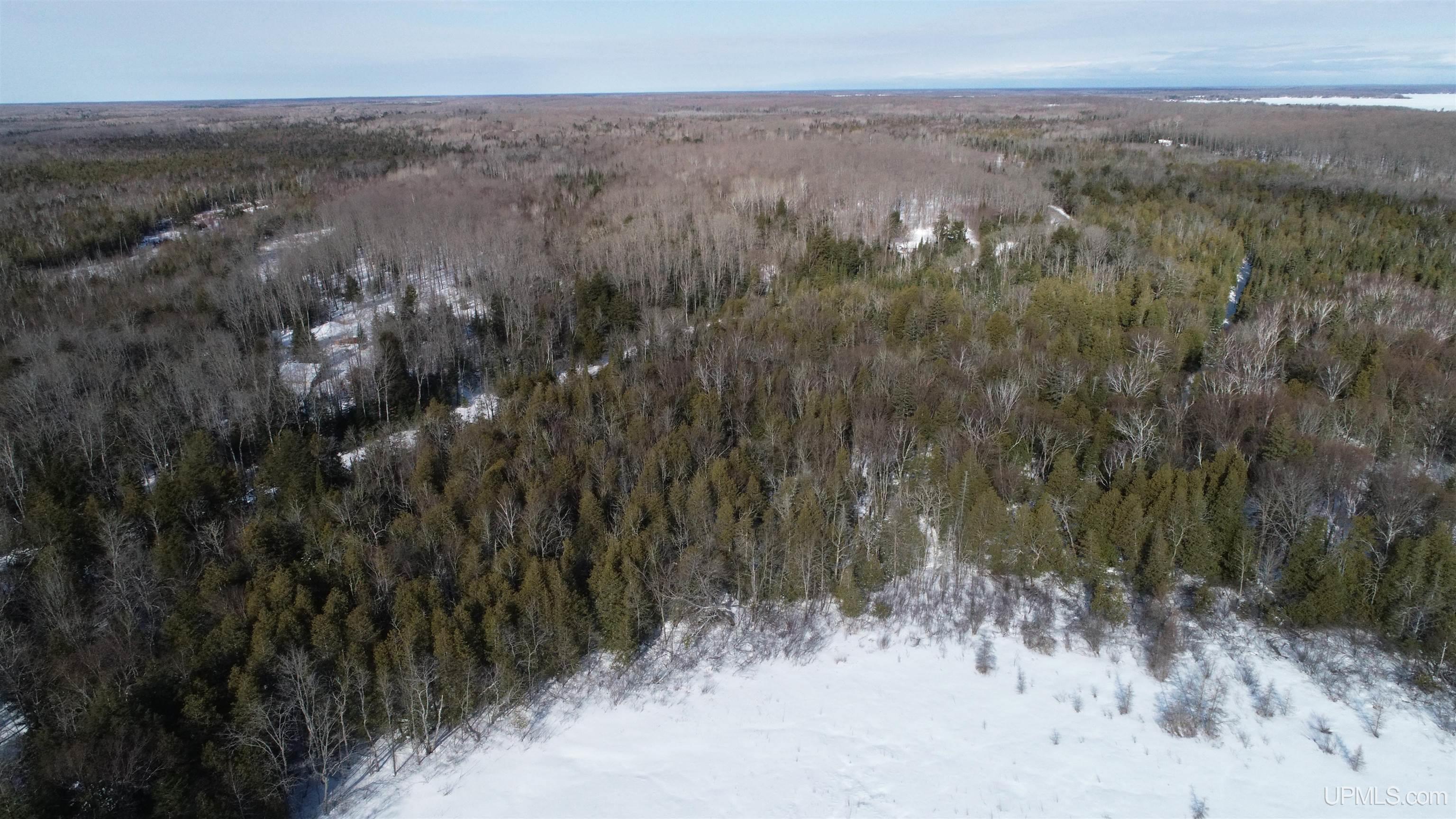 Tbd Tbd Long Point Road Curtis, MI 49820 - Photo 30 of 77