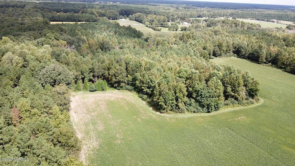 45.19-ac 45.19-ac Finch Road Bailey, NC 27807 - Photo 4 of 12 DJI_0005