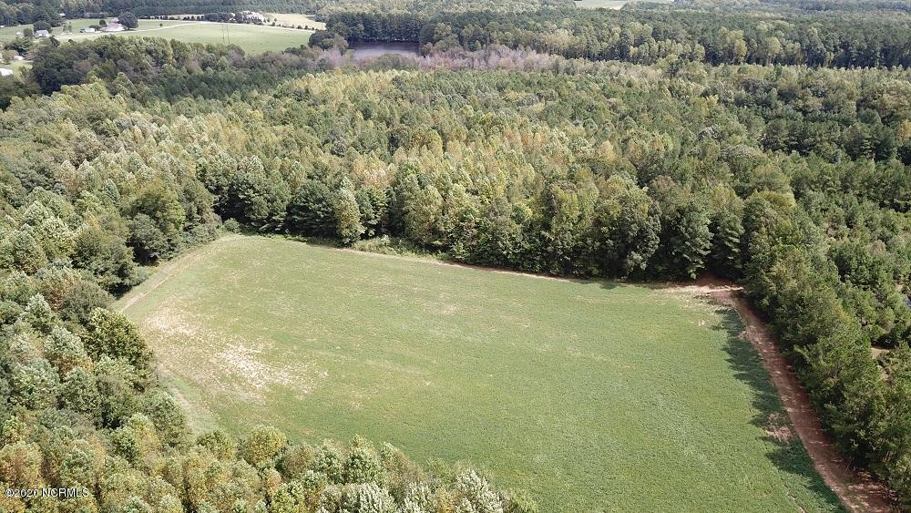 45.19-ac 45.19-ac Finch Road Bailey, NC 27807 - Photo 7 of 12 DJI_0011