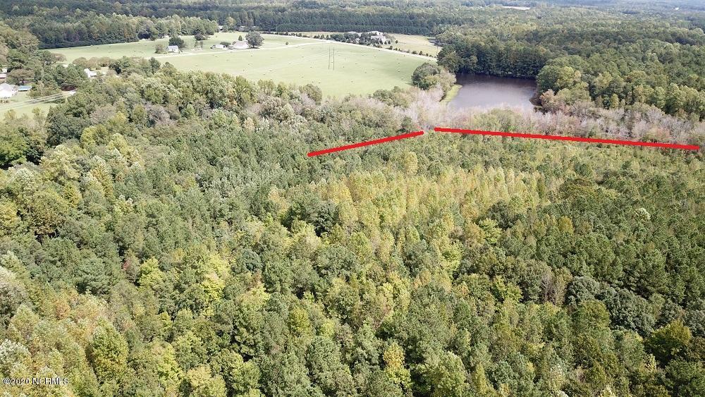 45.19-ac 45.19-ac Finch Road Bailey, NC 27807 - Photo 8 of 12 DJI_0012A
