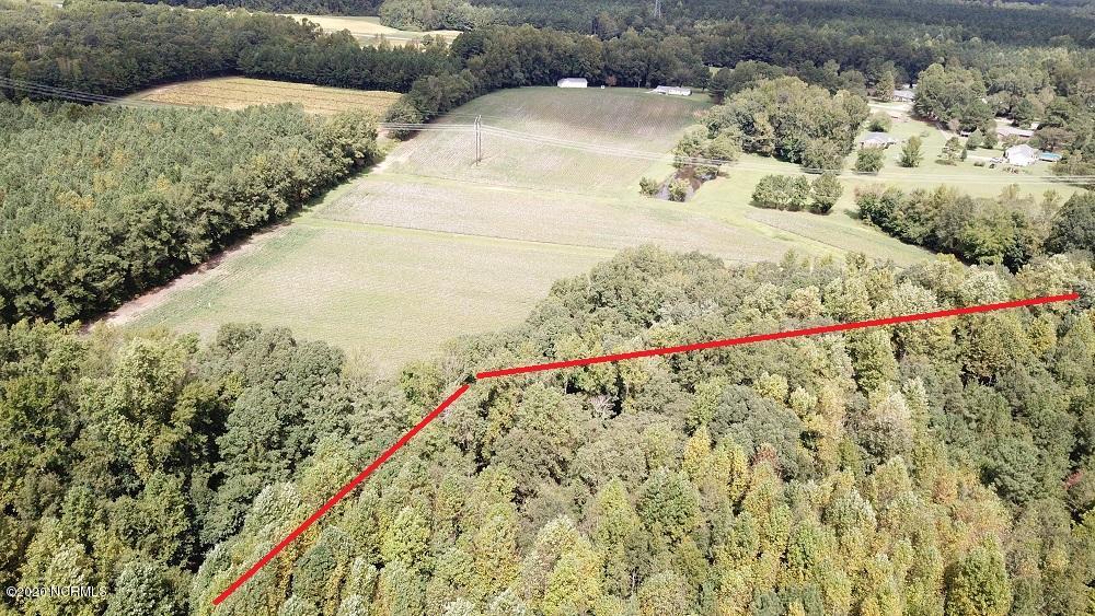 45.19-ac 45.19-ac Finch Road Bailey, NC 27807 - Photo 9 of 12 DJI_0014A