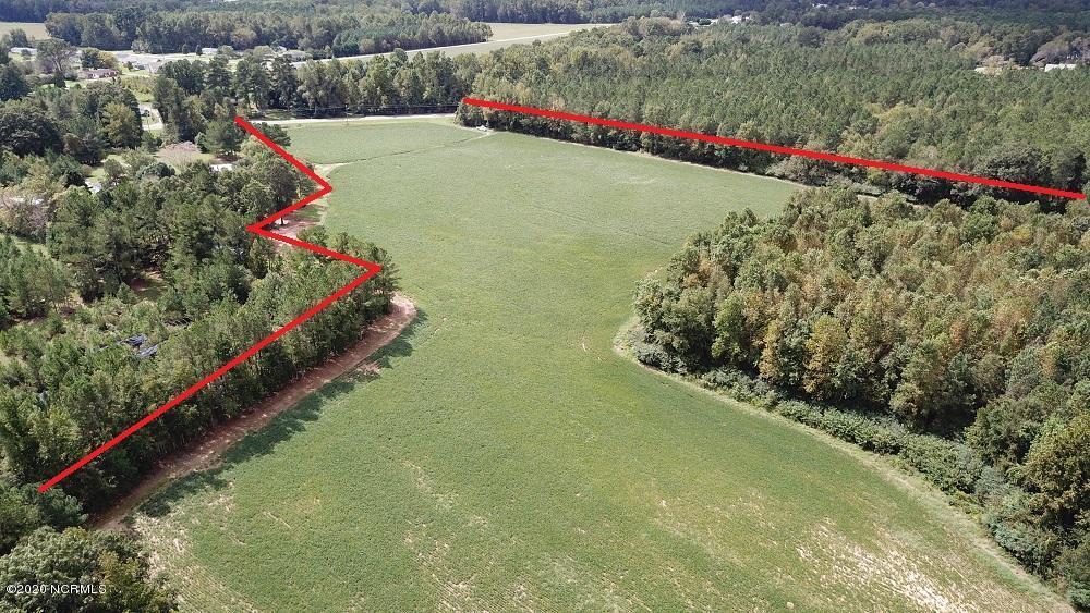 45.19-ac 45.19-ac Finch Road Bailey, NC 27807 - Photo 10 of 12 DJI_0015A