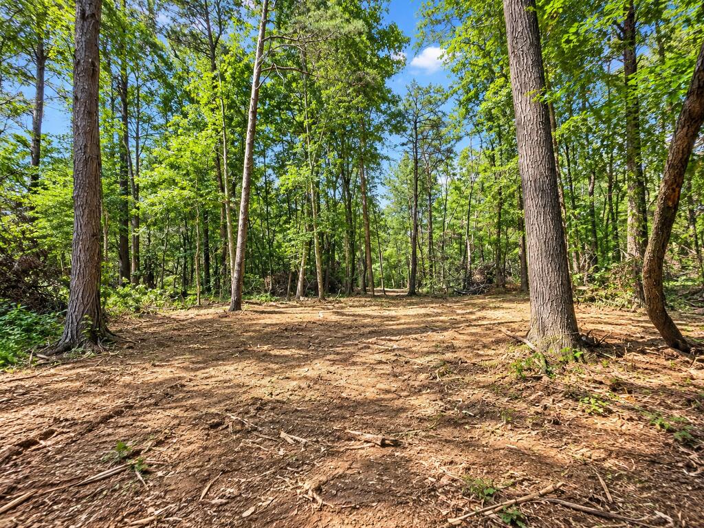 0 Shakerag Road Hanson, KY 42413 - Photo 2 of 4 Gallery Image 2