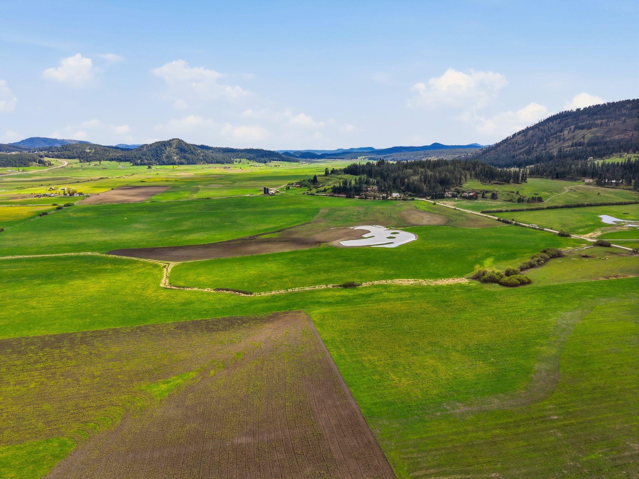 25-xx Heine Road Chewelah, WA 99109 - Photo 4 of 10
