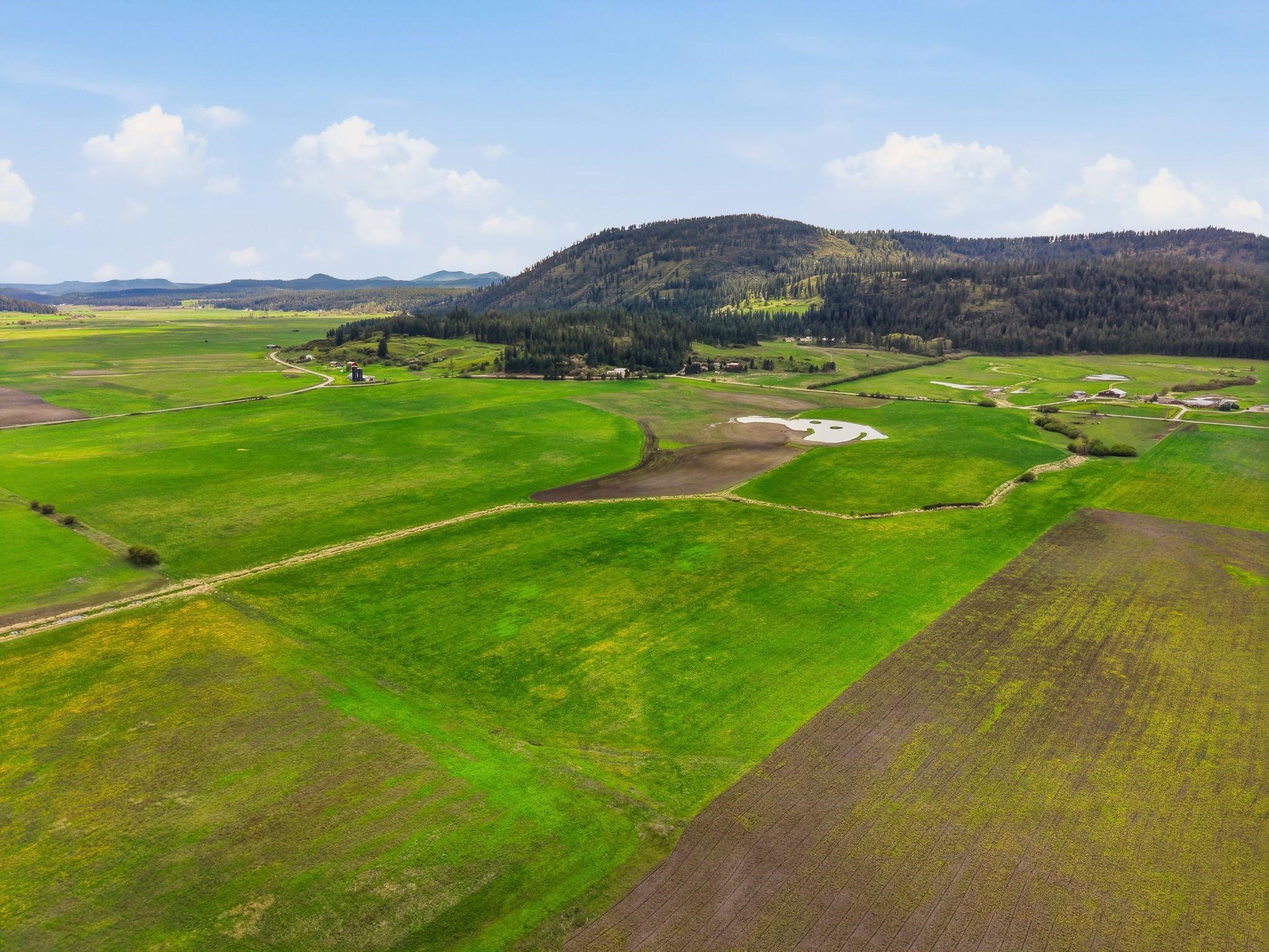 25-xx Heine Road Chewelah, WA 99109 - Photo 10 of 10