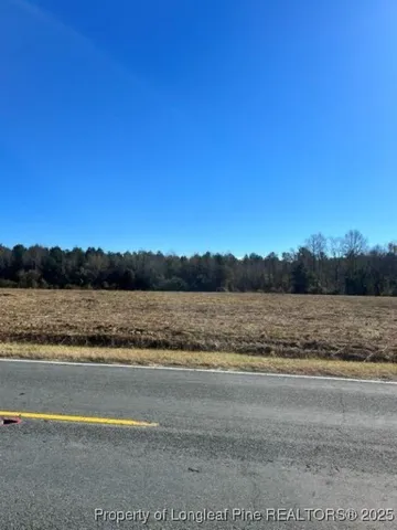 $49,900 | Wire Grass Road, Orrum, NC 28369