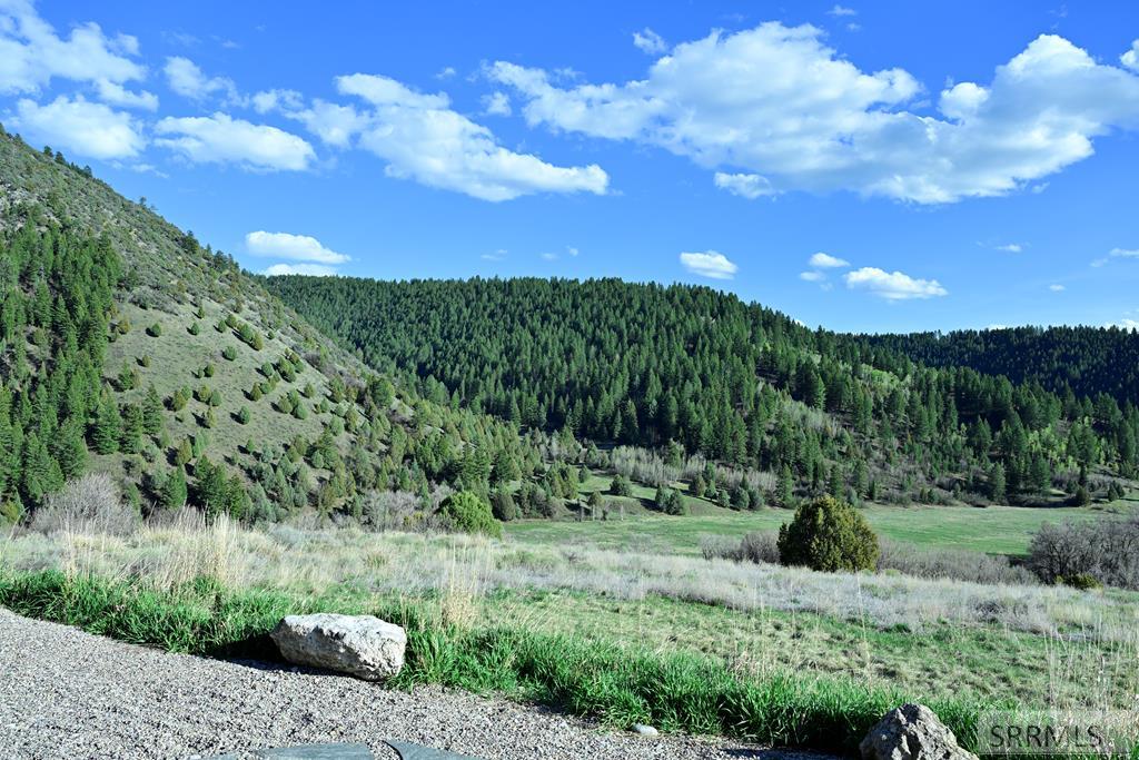71 Lookout Circle Swan Valley, ID 83449 - Photo 14 of 97 Front Porch View