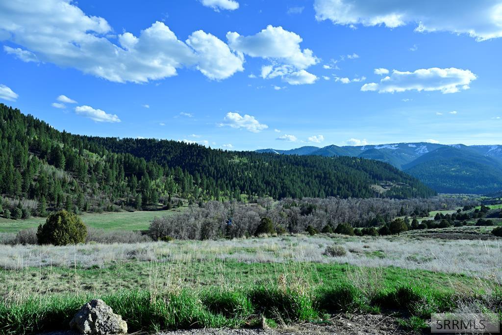 71 Lookout Circle Swan Valley, ID 83449 - Photo 15 of 97 Front Porch View