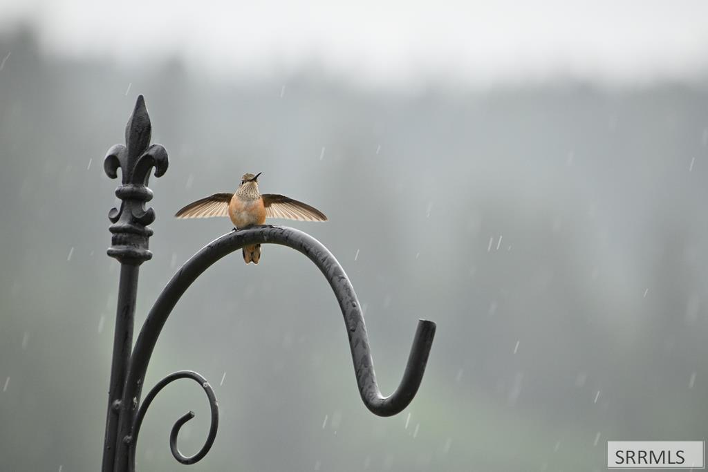 71 Lookout Circle Swan Valley, ID 83449 - Photo 20 of 97